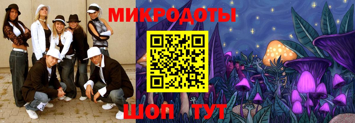 Псилоцибиновые грибы Psilocybe Вышний Волочёк