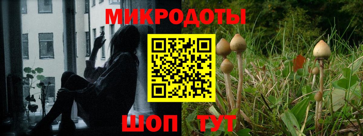 Вышний Волочёк  Псилоцибиновые грибы ЛСД  Вход с VPN  наркошоп  Галлюциногенные грибы Cubensis 