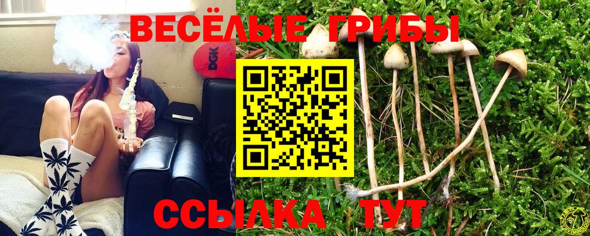 Галлюциногенные грибы MAGIC MUSHROOMS  Галлюциногенные грибы прущие грибы  где купить наркоту  Вышний Волочёк 